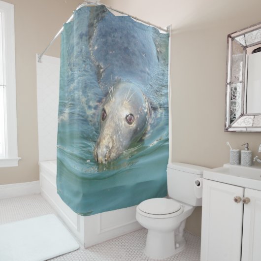 Cute zeehond van Cape Cod douchegordijn (In situ)