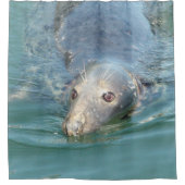 Cute zeehond van Cape Cod douchegordijn (Voorkant)