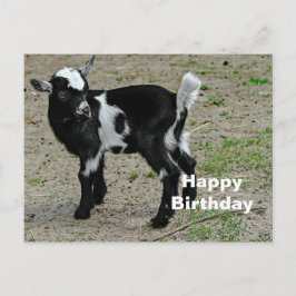 Cute Zwart-Wit Babygeit Foto Verjaardag Briefkaart