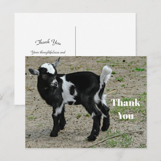 Cute zwart-witte babyschattige geitenfoto bedankt briefkaart (Voorkant / Achterkant)