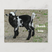 Cute zwart-witte babyschattige geitenfoto bedankt briefkaart (Voorkant)