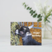 Cute Zwarte Babygeit Eet Hooifoto Verjaardag Briefkaart (Staand voorkant)