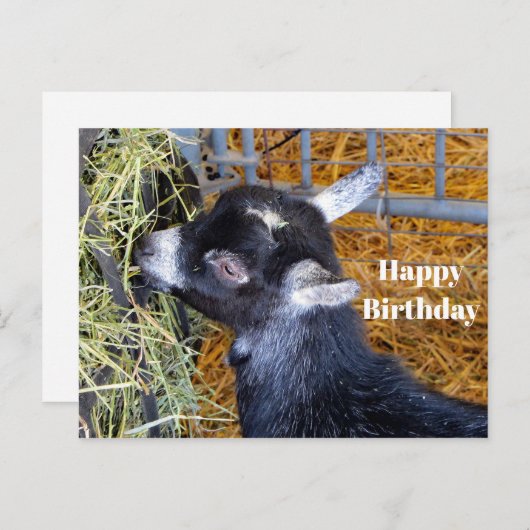 Cute Zwarte Babygeit Eet Hooifoto Verjaardag Briefkaart (Voorkant / Achterkant)