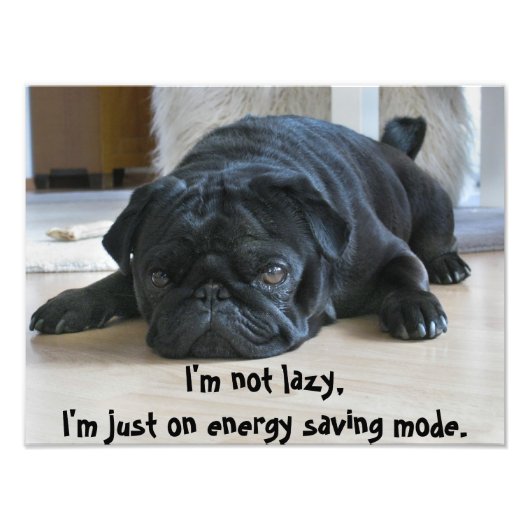 Cute Zwarte Pug Puppy Luiheid Poster (Voorkant)