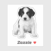 Cute Zwarte Witte Puppy Foto Sticker (Vel)