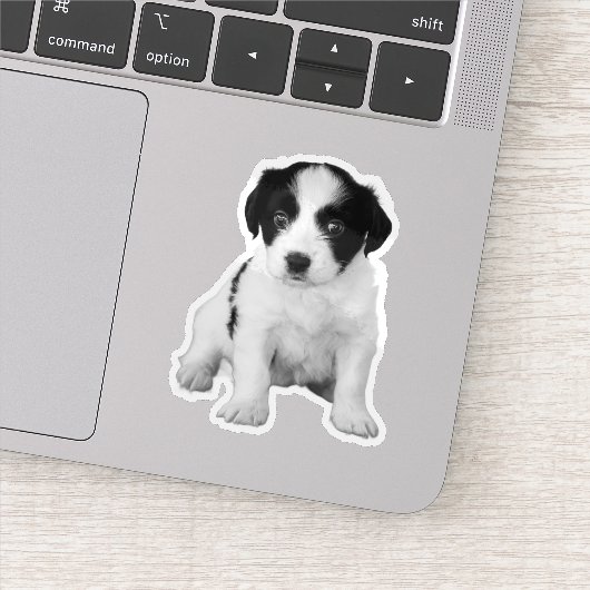 Cute Zwarte Witte Puppy Foto Sticker (Detail)