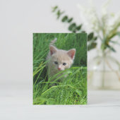 Cuteness Briefkaart (Staand voorkant)