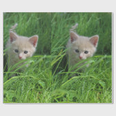 Cuteness Cadeaupapier (Vlak)
