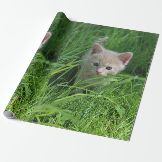 Cuteness Cadeaupapier (Uitgerold)