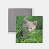 Cuteness Magneet (Voorkant / Achterkant)