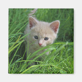 Cuteness Magneet (Voorkant)