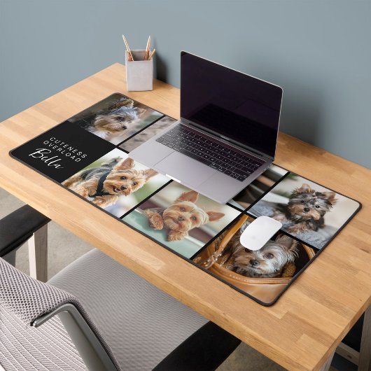 Cuteness Overboard Script Pet Photo Bureaumat