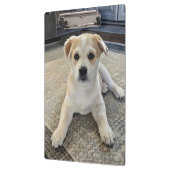 Cuteness Puppy Overload Klembord (Links)