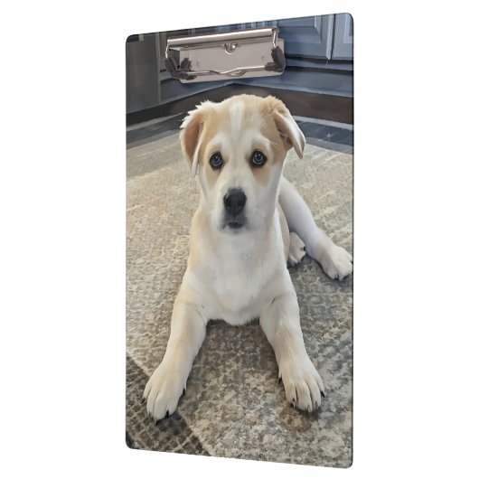 Cuteness Puppy Overload Klembord (Links)