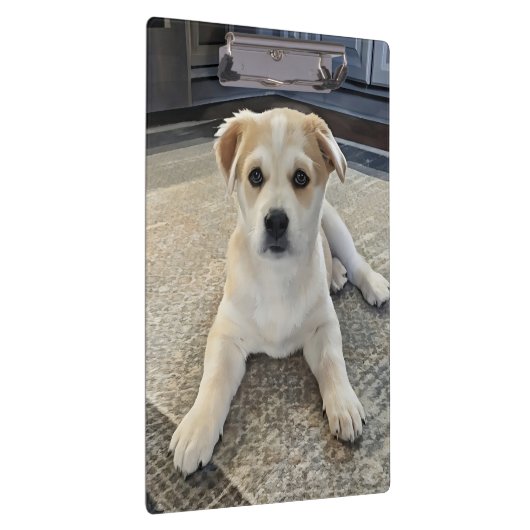 Cuteness Puppy Overload Klembord (Rechts)