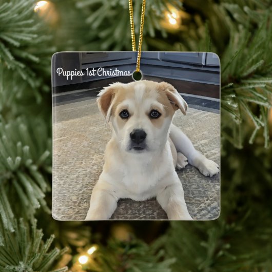Cuteness Puppy Overload Ornament (Boom)