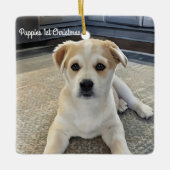 Cuteness Puppy Overload Ornament (Voorkant)