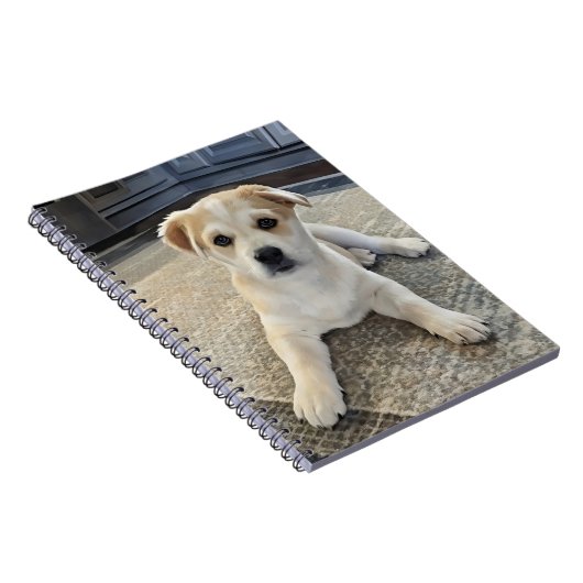 Cuteness Puppy Overload Spiraal Foto Notitieboek (Rechterzijde)