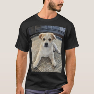 Cuteness Puppy Overload T-shirt