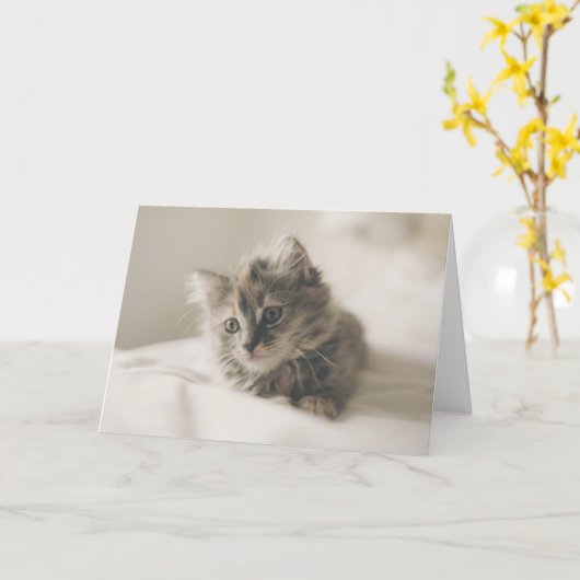 Cuteness therapie kitten denken aan uw kaart (Gele Bloem)