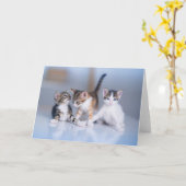 Cutest Baby Animals | 3 Tabby Kittens Kaart (Gele Bloem)