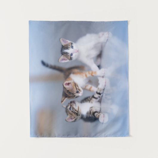 Cutest Baby Animals | 3 Tabby Kittens Wandkleed (Voorkant)