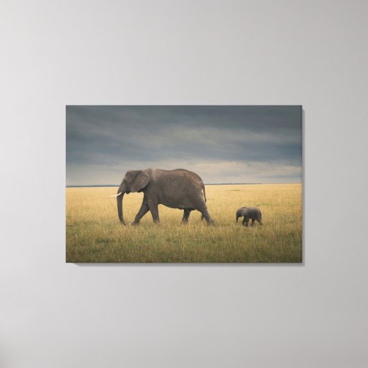 Cutest Baby Animals | African Elephant Family Canvas Afdruk (Voorkant)
