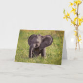 Cutest Baby Animals | Baby Elephant Kenya Africa Kaart (Gele Bloem)