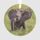 Cutest Baby Animals | Baby Elephant Kenya Africa Ornament (achterkant)