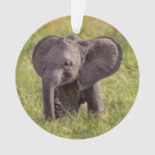 Cutest Baby Animals | Baby Elephant Kenya Africa Ornament (voorkant)