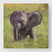 Cutest Baby Animals | Baby Elephant Kenya Africa Vierkante Klok (Voorkant)