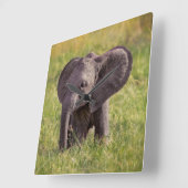 Cutest Baby Animals | Baby Elephant Kenya Africa Vierkante Klok (Hoek)