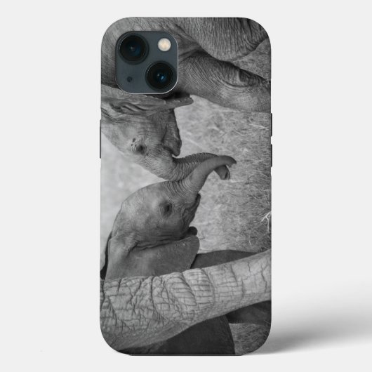 Cutest Baby Animals | Baby Elephants Greeting Case-Mate iPhone Case (Achterkant)
