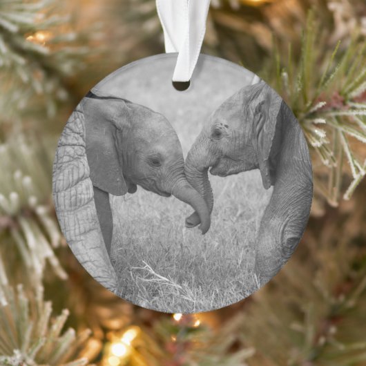 Cutest Baby Animals | Baby Elephants Greeting Ornament (Boom)