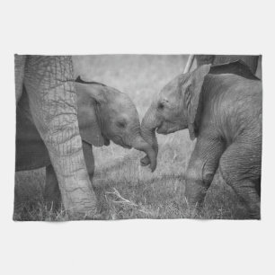 Cutest Baby Animals Baby Elephants Greeting Theedoek