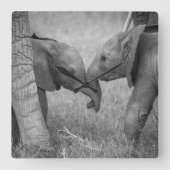 Cutest Baby Animals | Baby Elephants Greeting Vierkante Klok (Voorkant)