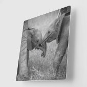 Cutest Baby Animals | Baby Elephants Greeting Vierkante Klok (Hoek)