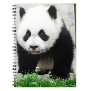 Cutest Baby Animals Baby Panda Bear Notitieboek