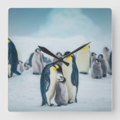 Cutest Baby Animals | Baby Penguin Feeding Vierkante Klok (Voorkant)