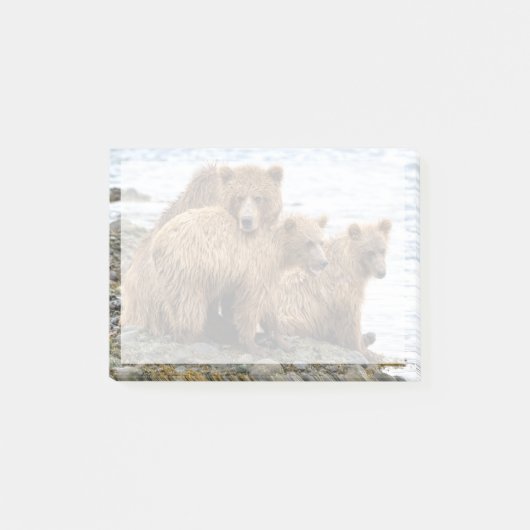Cutest Baby Animals | Bear & Cubs Post-it® Notes (Voorkant)