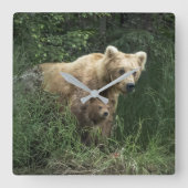 Cutest Baby Animals | Bear Mama Bear & Her Cubs Vierkante Klok (Voorkant)