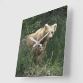 Cutest Baby Animals | Bear Mama Bear & Her Cubs Vierkante Klok (Hoek)