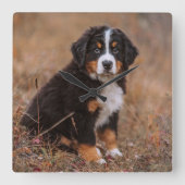 Cutest Baby Animals | Bernese Mountain Dog Vierkante Klok (Voorkant)
