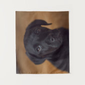 Cutest Baby Animals | Black Labrador Puppy Wandkleed (Voorkant)