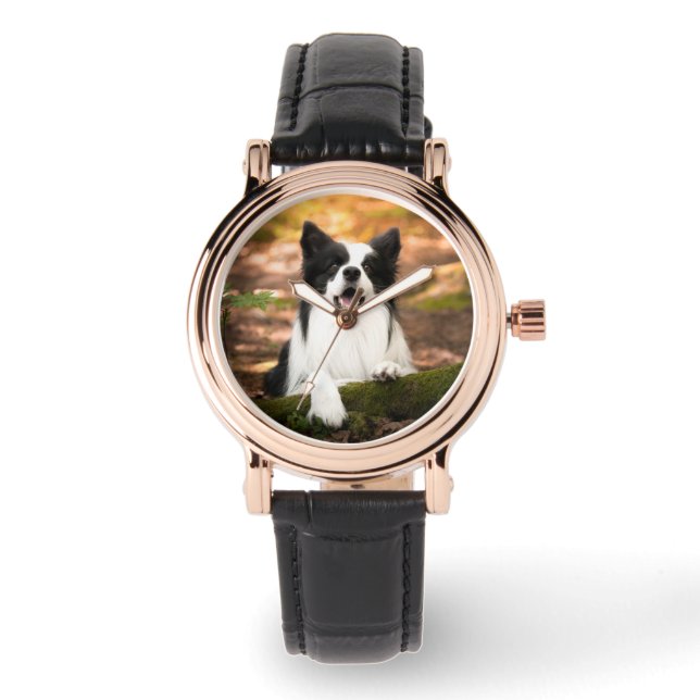 Cutest Baby Animals | Black & White Border Collie Horloge (Voorkant)