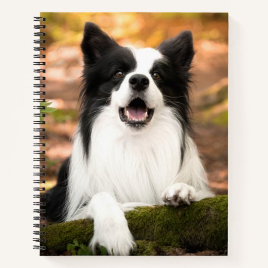 Cutest Baby Animals | Black & White Border Collie Notitieboek (Voorkant)