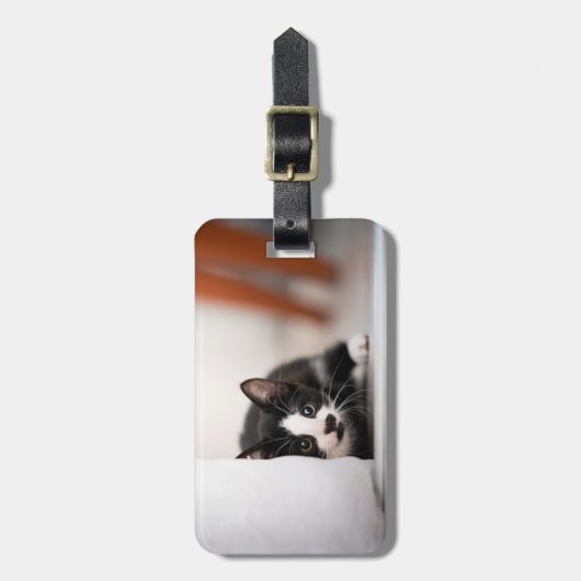 Cutest Baby Animals | Black & White Kitten Bagagelabel (Voorkant verticaal)