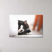 Cutest Baby Animals | Black & White Kitten Canvas Afdruk (Voorkant)