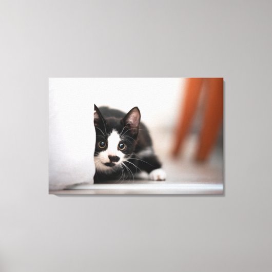 Cutest Baby Animals | Black & White Kitten Canvas Afdruk (Voorkant)