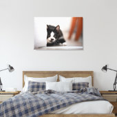 Cutest Baby Animals | Black & White Kitten Canvas Afdruk (Insitu (Slaapkamer))